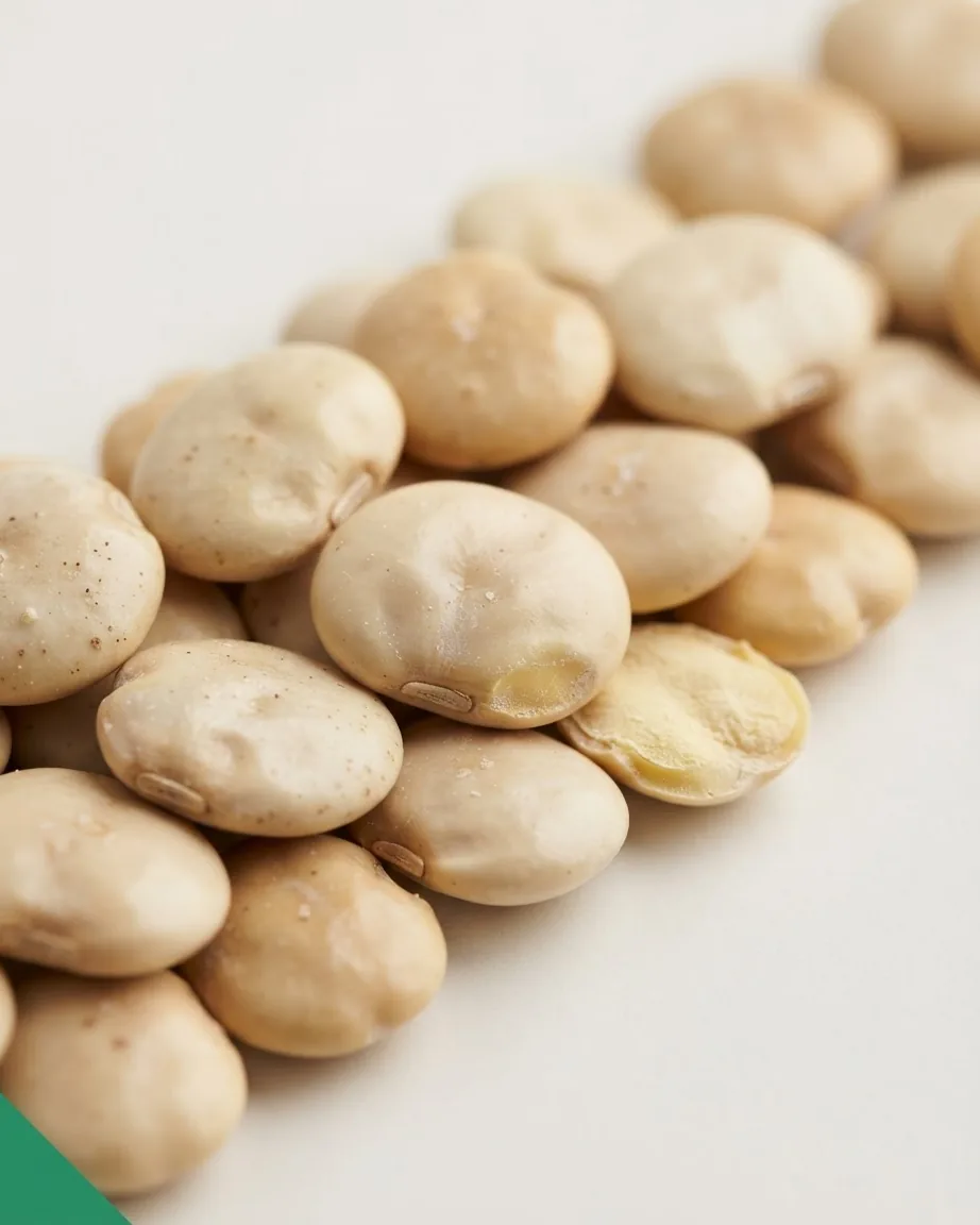 A close-up pile of pale beige lupini beans on a light surface, with one bean split open to reveal its yellow interior.